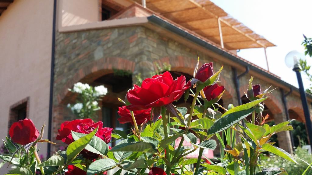 Agriturismo La Nocciolina Venturina Terme Bagian luar foto