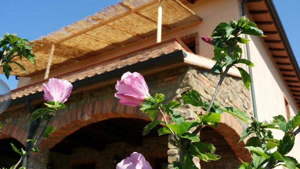 Agriturismo La Nocciolina Venturina Terme Bagian luar foto