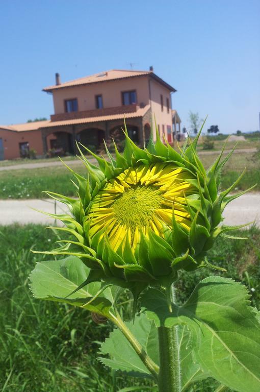 Agriturismo La Nocciolina Venturina Terme Bagian luar foto