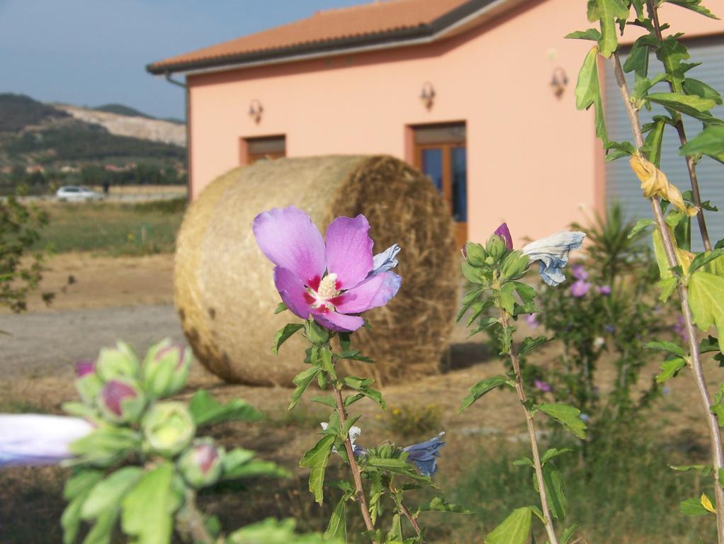 Agriturismo La Nocciolina Venturina Terme Bagian luar foto