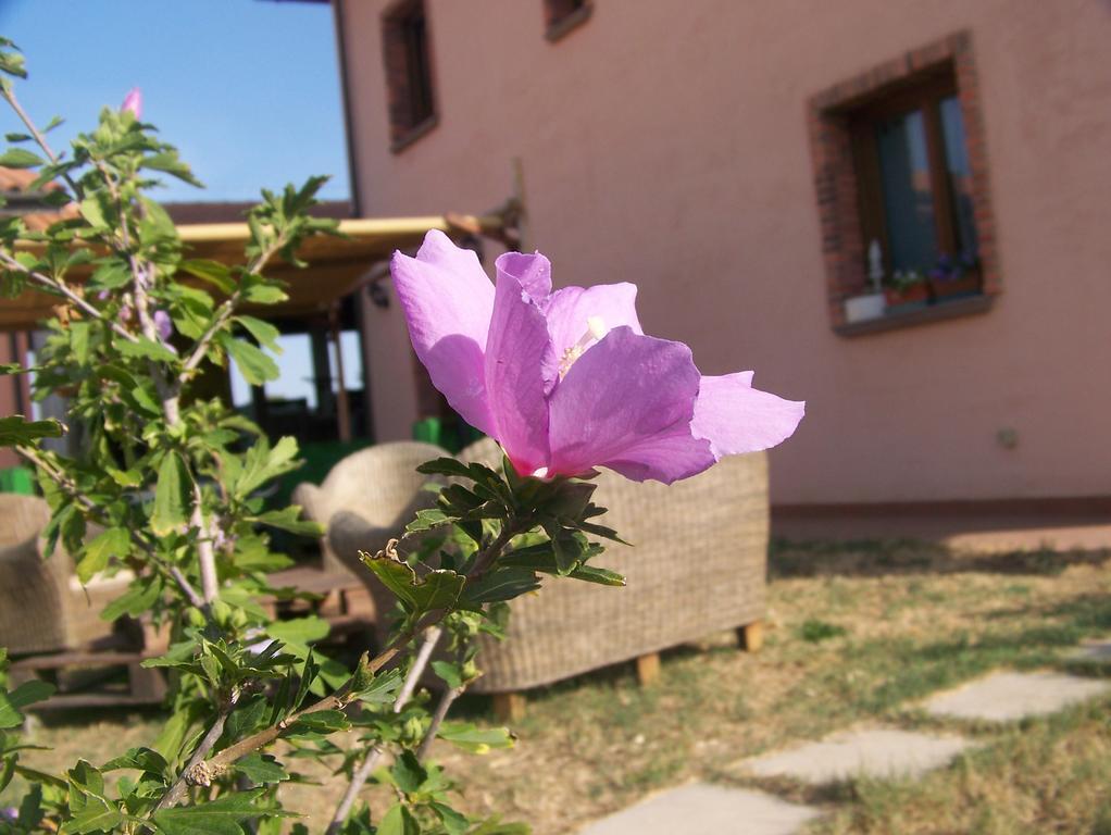Agriturismo La Nocciolina Venturina Terme Bagian luar foto
