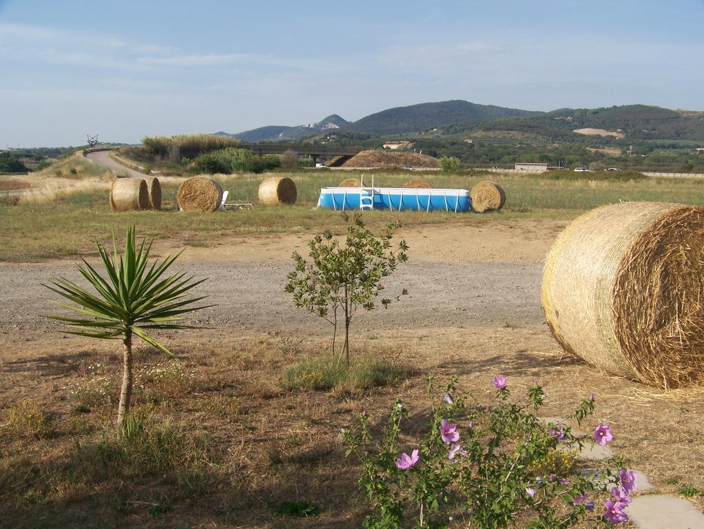 Agriturismo La Nocciolina Venturina Terme Bagian luar foto